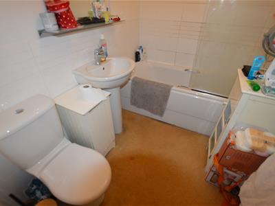 Picture 7
